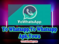 Yo WhatsApp v9.25 Apk Update Versi Terbaru 2022